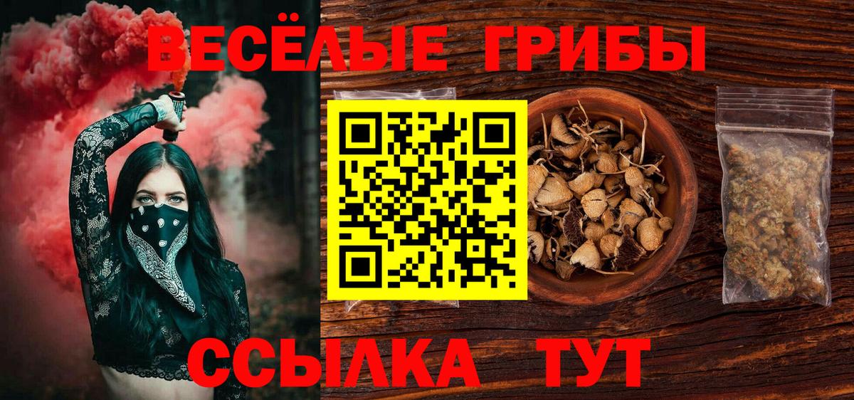 NBOMe Борзя