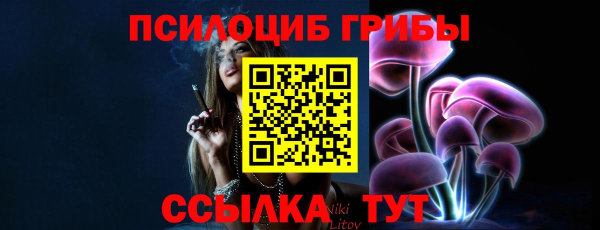 Псилоцибиновые грибы Psilocybe  как найти закладки  Борзя  Вход с VPN 