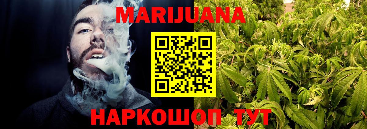 Канабис семена  МАРИХУАНА сатива  Борзя  Бошки Шишки Ganja  Бошки Шишки планчик  Вход с VPN 